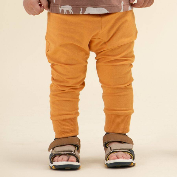 Safari Leginsy dla dziecka Pinokio - pomarańczowy