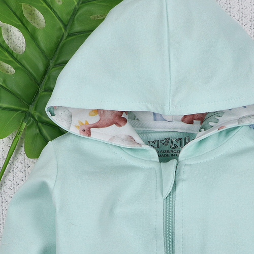 ABN-5576 Dino Explorer Bluza dresowa dziecięca Nini – bawełna organiczna, wygodny fason