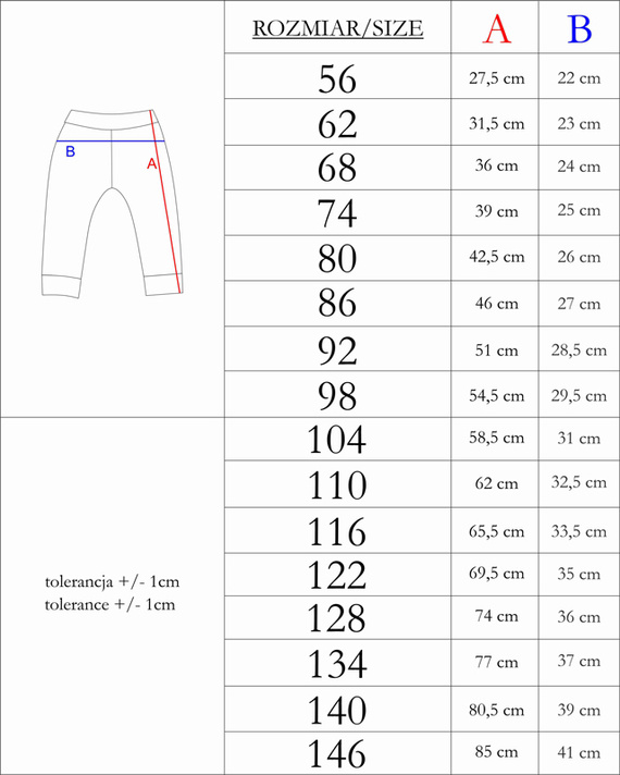 215280 Spodnie dresowe Eddy Nicol