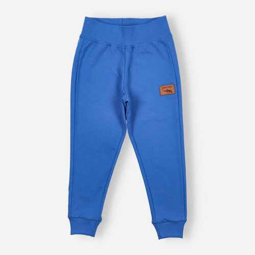 KAR-0040/CHA Spodnie dresowe dla chłopca Lagarto Verde - chabrowy