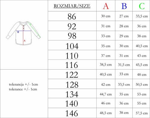 227139 Nicol BENEK Bluzka chłopięca raglan henley paski długi rękaw