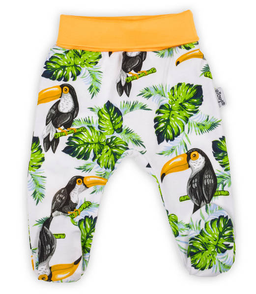 186009 Tukan Półśpioch niemowlęcy Nicol