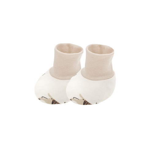 215084 Eddy Buciki niechodki Nicol