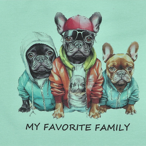 KAR-2002/PIS T-shirt dla chłopca Lagarto Verde pistacjowy 