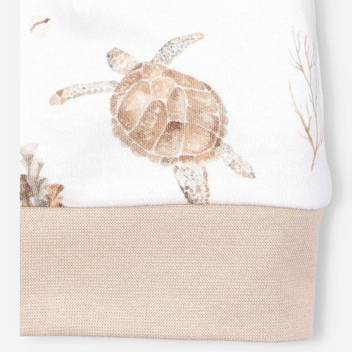 Turtles Czapka niemowlęca z bawełny organicznej Nini druk