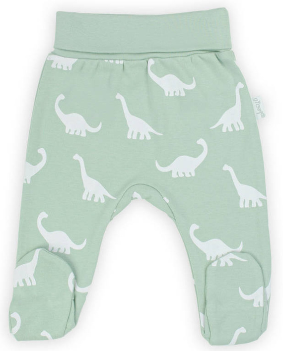 195009 Iwo Półśpioch niemowlęcy Nicol -- oliwkowy