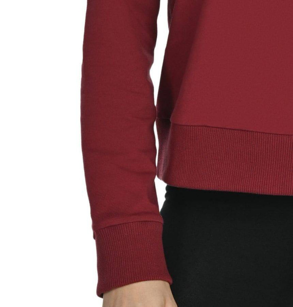 18102 Ellis Bluza damska Teyli bordowy