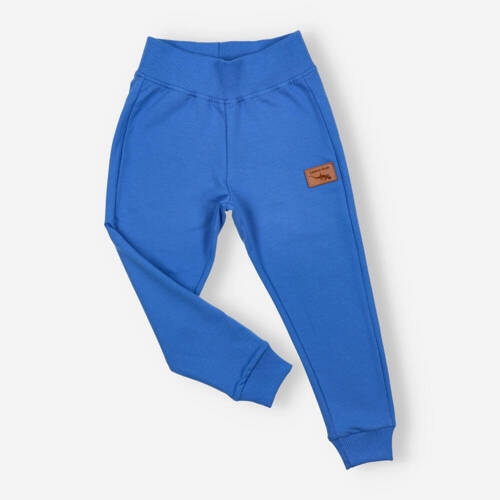 KAR-0040/CHA Spodnie dresowe dla chłopca Lagarto Verde - chabrowy