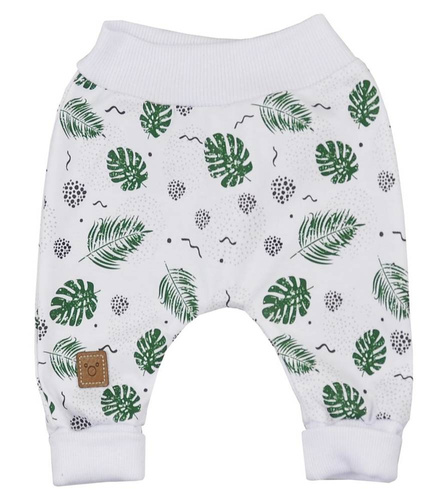 Monstera Spodenki niemowlęce Koala