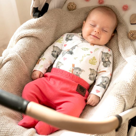 ABN-5631 Bawełniane body kopertowe Słodka Koala Nini organic 100% PL produkcja