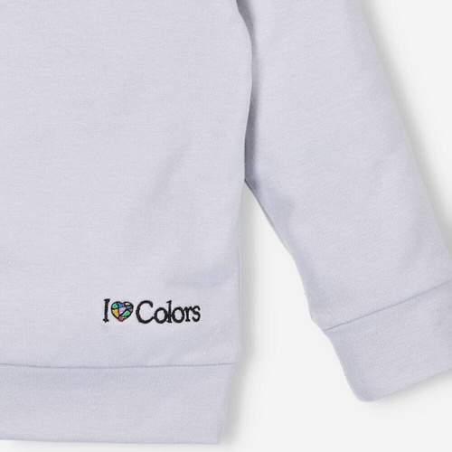 ILC-0017/JSZ Bluza dresowa I love Colors - szary