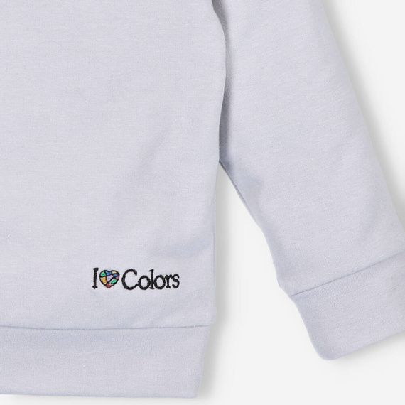 ILC-0017/JSZ Bluza dresowa I love Colors - szary