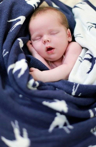 2108 Kocyk bambusowy Swallow Doctor Nap - jeans