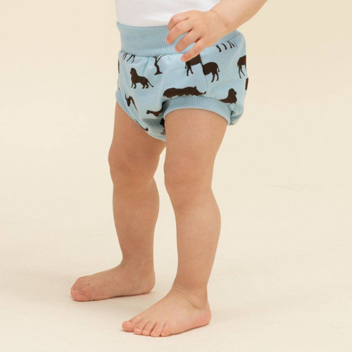 Safari Bloomers niemowlęcy Pinokio - afryka niebieski