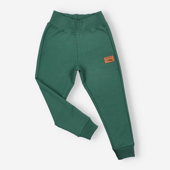 KAR-0040/ZIE Spodnie dresowe dla chłopca Lagarto Verde - zielony