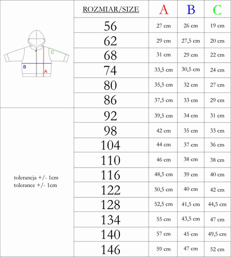 169537 Bluza dresowa z kapturem Nicol - szary