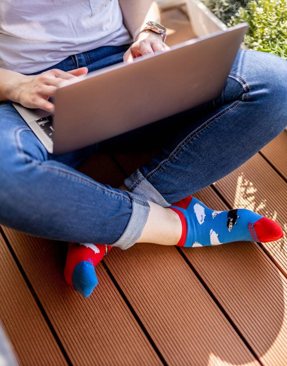 Baranki Owieczki Skarpety stopki finest cotton dwie różne Sesto Senso niebieski