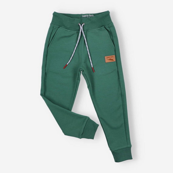 KAR-0032/ZIE Spodnie dresowe dla chłopca Lagarto Verde - zielony