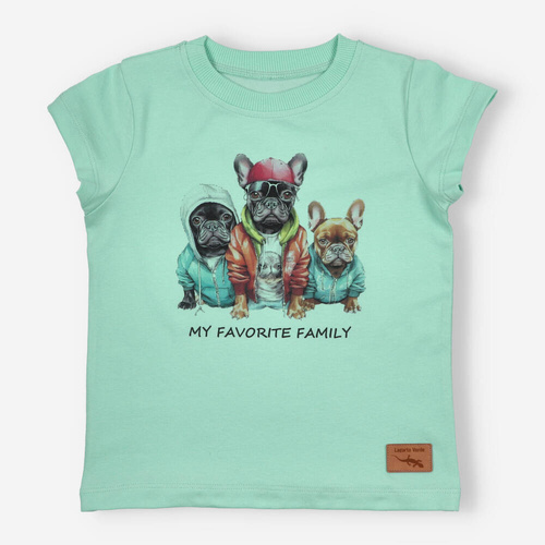 KAR-2002/PIS T-shirt dla chłopca Lagarto Verde pistacjowy 