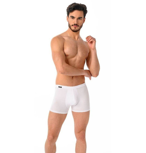 801-5 Levi Bokserki męskie 5- PAK Teyli - mix