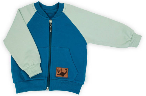 195275 Iwo Bluza dresowa Nicol