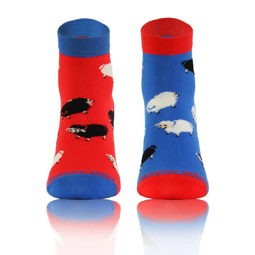 Baranki Owieczki Skarpety krótkie finest cotton dwie różne Sesto Senso niebieski