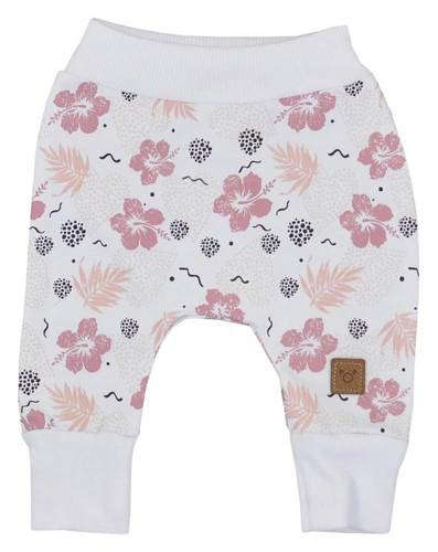 Hibiscus Spodenki niemowlęce Koala