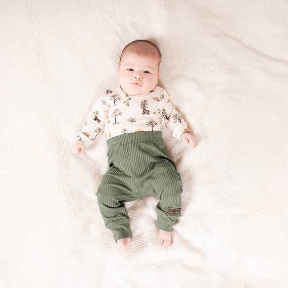 218094 Yogi Bear Body niemowlęce Nicol – bawełna, długi rękaw, leśny wzór