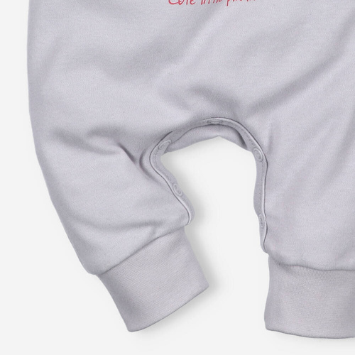 ABN-5059/JSZA Łąka Śpiochy z bawełny organicznej Nini szary