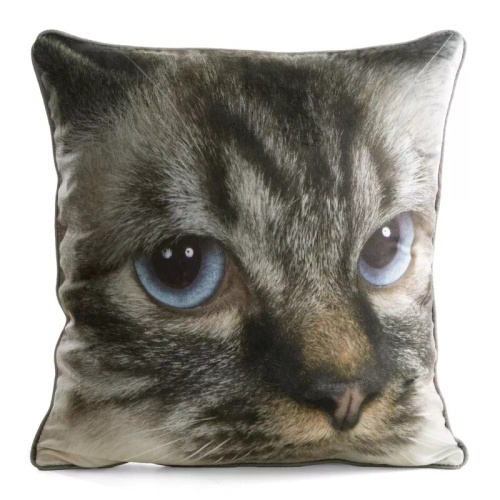 Poszewka Animal kot 45x45 welwet Eurofirany z suwakiem