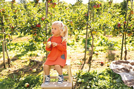 Adventure Tunika dresowa z długim rękawem Ewa Klucze- rudy