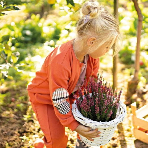 Adventure Bluza dziewczęca rozpinana Ewa Klucze- rudy