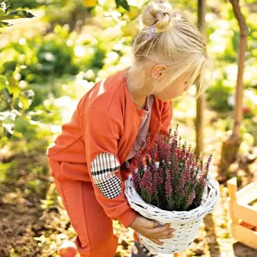 Adventure Bluza dziewczęca rozpinana Ewa Klucze- rudy