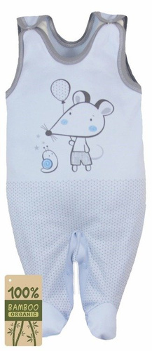 Śpioch bambusowy "MYSZKA I ŚLIMAK" Koala niebieski