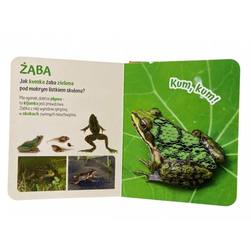 MO145-3 "Pogłaszcz zwierzęta świata" Książka sensoryczna Awm Wydawnictwo