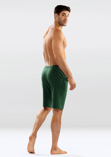 Samuel Spodenki męskie Dkaren zielony