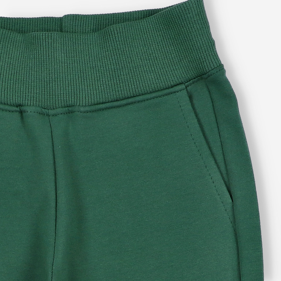 KAR-0042/ZIE Spodnie dresowe bojówki dla chłopca Lagarto Verde zielony