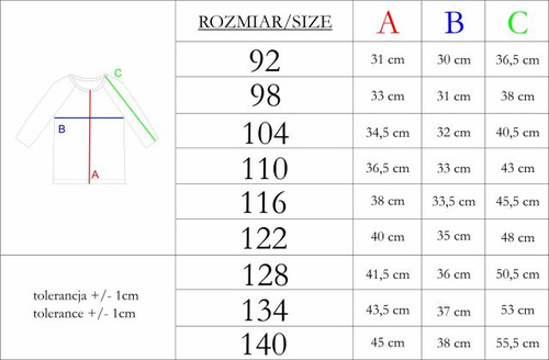 228139 Nicol FARMA Bluzka chłopięca raglan morska szary melanż bawełna