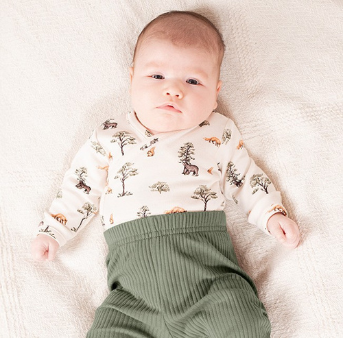 218094 Yogi Bear Body niemowlęce Nicol – bawełna, długi rękaw, leśny wzór