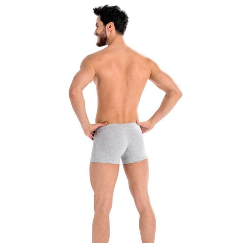 801 Levi Bokserki męskie Teyli - szare