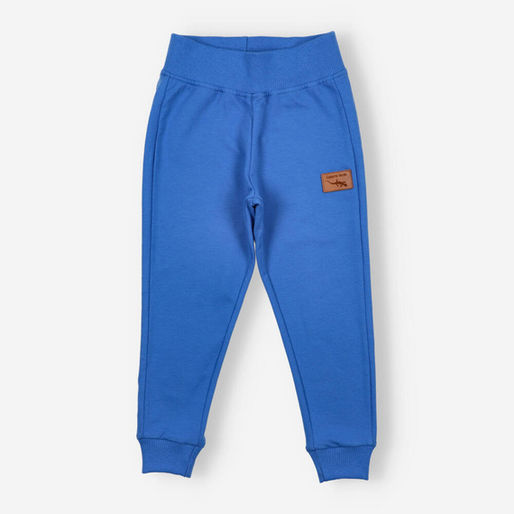 KAR-0040/CHA Spodnie dresowe dla chłopca Lagarto Verde - chabrowy