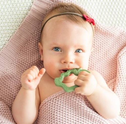 DUMGG45445 Jabłko gryzak Dumel szary