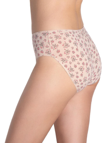 Figi damskie Lama L-120 BI-97 – bawełniane bikini, 3-pak w odcieniach beżu i brązu