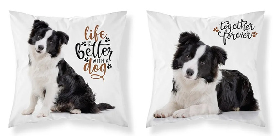 Pies MF 08 Kids 114 Poszewka dziecięca Detexpol biały