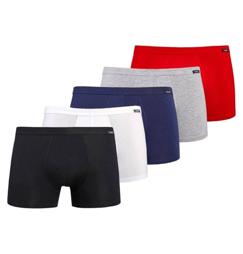 801-5 Levi Bokserki męskie 5- PAK Teyli - mix