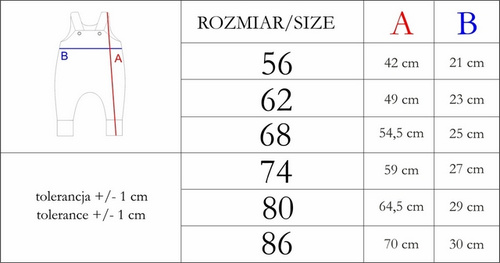 210024 Teddy Spodnie ogrodniczki Nicol