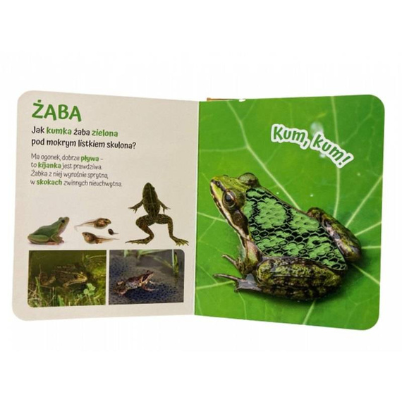 MO145-3 "Pogłaszcz zwierzęta świata" Książka sensoryczna Awm Wydawnictwo