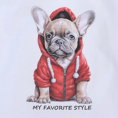 KAR-1011/BIA Bluzka chłopięca z długim rękawem Lagarto Verde biały