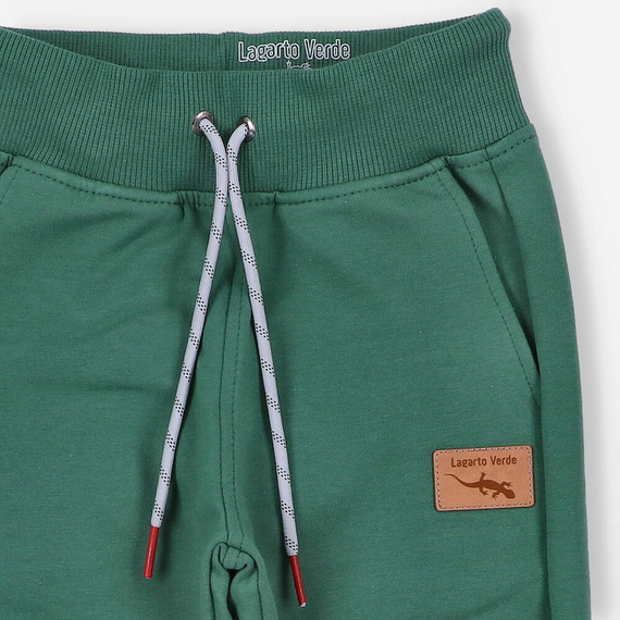 KAR-0032/ZIE Spodnie dresowe dla chłopca Lagarto Verde - zielony