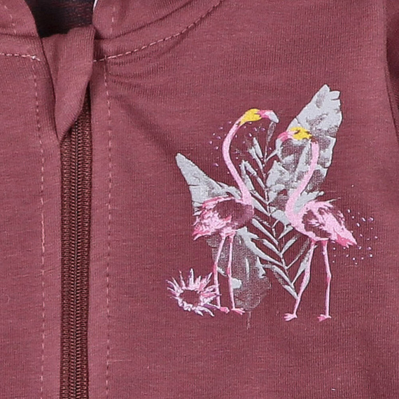 ABN-2983/ROB Flamings Bluza dresowa Nini bordowy